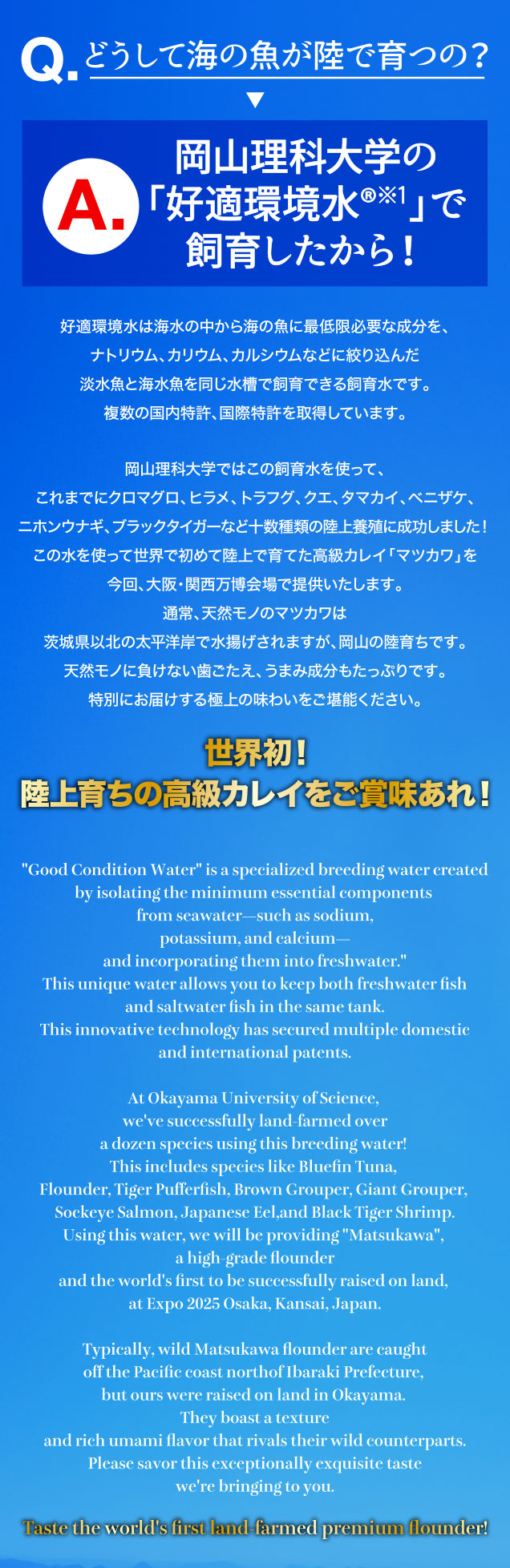 Q.どうして海の魚が陸で育つの？