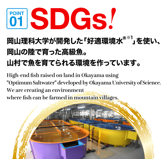 POINT 01 SDGs!