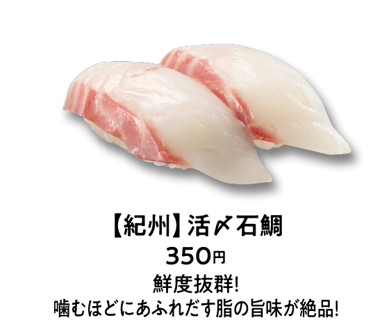 【紀州】活〆石鯛 350円 鮮度抜群！噛むほどにあふれだす脂の旨味が絶品！