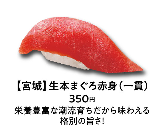 【宮城】生本まぐろ赤身（一貫） 350円 栄養豊富な潮流育ちだから味わえる格別の旨さ！