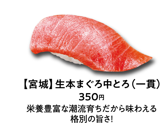 【宮城】生本まぐろ中とろ（一貫）350円 栄養豊富な潮流育ちだから味わえる格別の旨さ！