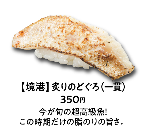 【境港】炙りのどぐろ（一貫） 350円 今が旬の超高級魚！この時期だけの脂のりの旨さ。