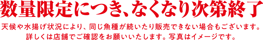 数量限定につき、なくなり次第終了 天候や水揚げ状況により、同じ魚種が続いたり販売できない場合もございます。詳しくは店舗でご確認をお願いいたします。写真はイメージです。
