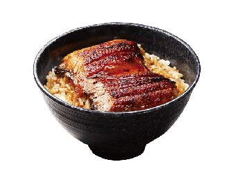 すしやのうな丼