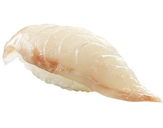 天然くえ（一貫）