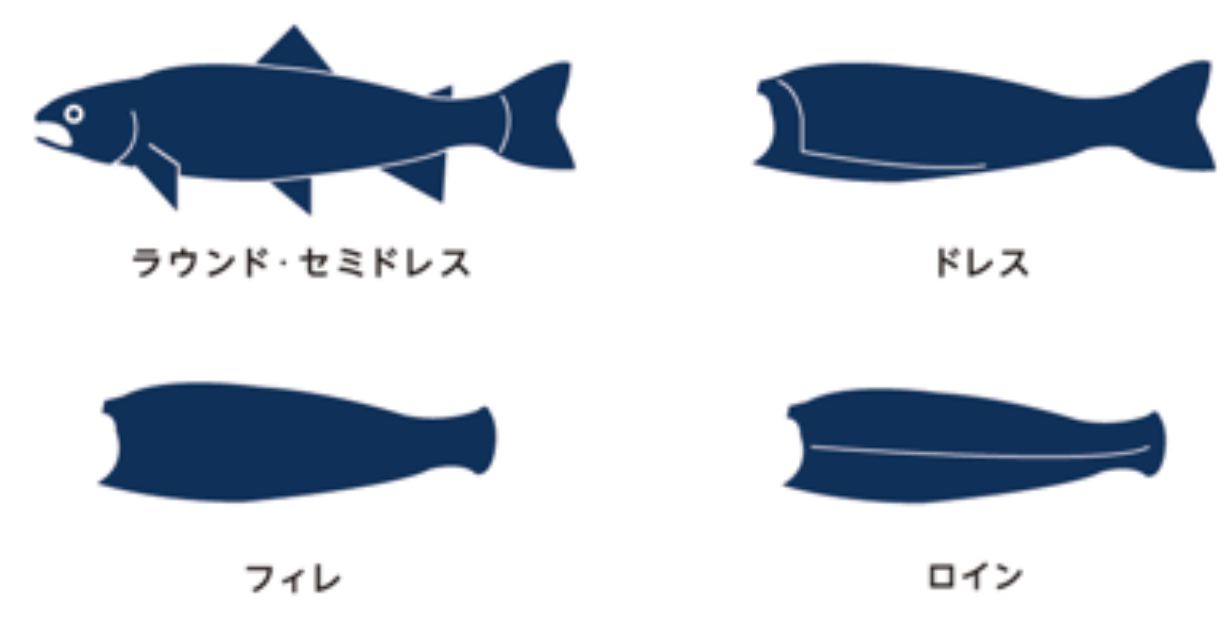 ラウンド ドレス フィレ ロイン