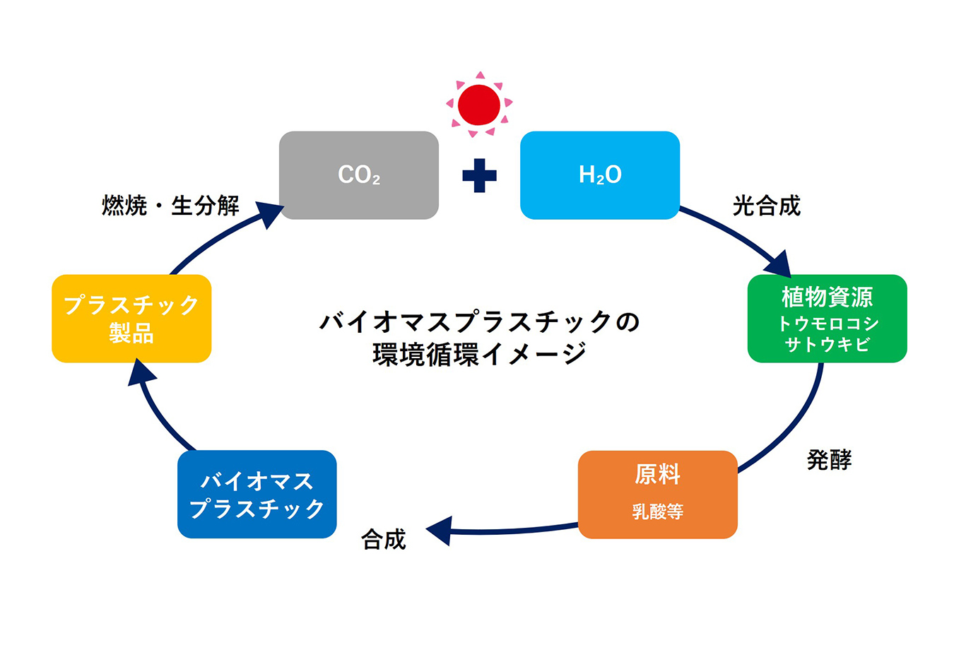 バイオマスビニール