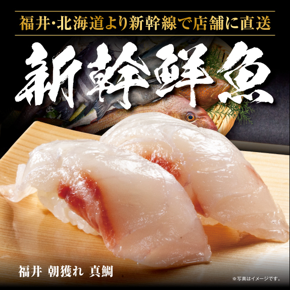 福井・北海道より朝から新幹線で直送 新幹鮮魚 福井 朝獲れ 真鯛 ※写真はイメージです。