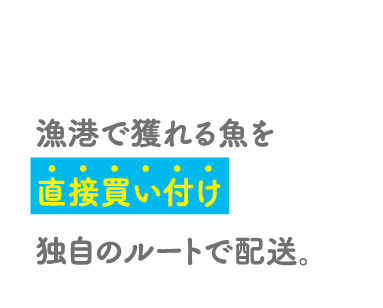 POINT01 漁港で獲れる魚を直接買い付け独自のルートで配送。