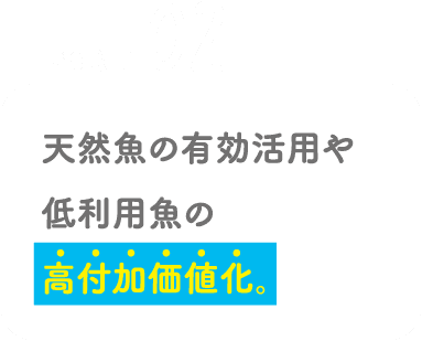 POINT02 天然魚の有効活用や低利用魚の高付加価値化。