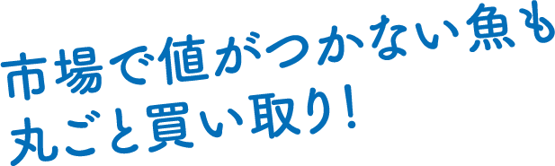 市場で値がつかない魚も丸ごと買い取り！