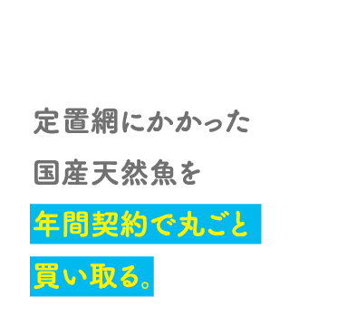 POINT01 定置網にかかった国産天然魚を年間契約で丸ごと買い取る。