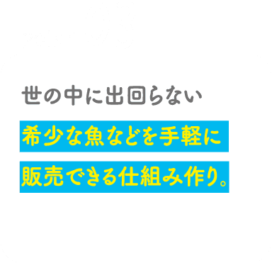 POINT03 世の中に出回らない希少な魚などを手軽に販売できる仕組み作り。