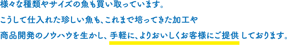 様々な種類やサイズの魚も買い取っています。こうして仕入れた珍しい魚も、これまで培ってきた加工や商品開発のノウハウを生かし、手軽に、よりおいしくお客様にご提供しております。