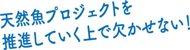 天然魚プロジェクトを推進していく上で欠かせない！