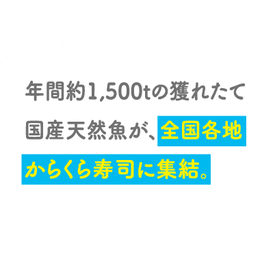 POINT01 年間約1,500t の獲れたて国産天然魚が、全国各地からくら寿司に集結