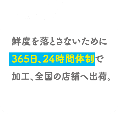 POINT02 鮮度を落とさないために365日、24時間体制で加工、全国の店舗へ出荷