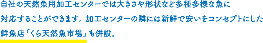 自社の天然魚用加工センターでは大きさや形状など多種多様な魚に対応することができます。 加工センターの隣には新鮮で安いをコンセプトにした鮮魚店「くら天然魚市場」も併設。