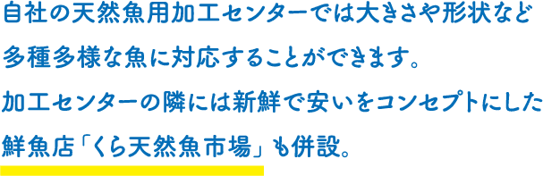 自社の天然魚用加工センターでは大きさや形状など多種多様な魚に対応することができます。 加工センターの隣には新鮮で安いをコンセプトにした鮮魚店「くら天然魚市場」も併設。