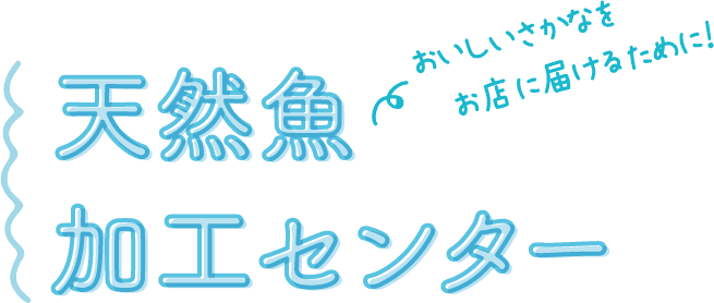 おいしいさかなをお店に届けるために！ 天然魚加工センター