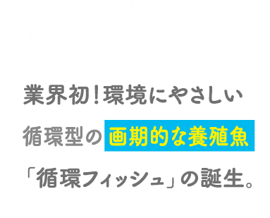 POINT03 業界初！環境にやさしい循環型の画期的な養殖魚「循環フィッシュ」の誕生