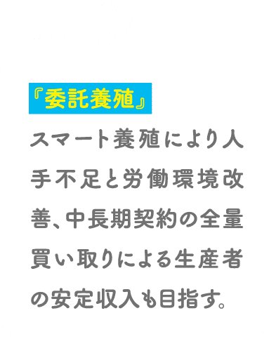 POINT02 『委託養殖』スマート養殖により人手不足と労働環境改善、中長期契約の全量買い取りによる生産者の安定収入も目指す。