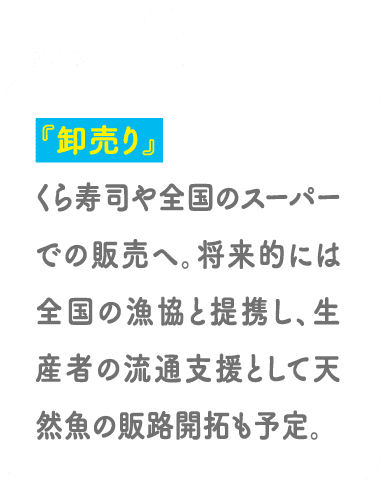 POINT03 『卸売り』くら寿司や全国のスーパーでの販売へ。将来的には全国の漁協と提携し、生産者の流通支援として天然魚の販路開拓も予定。