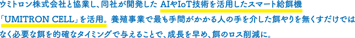 ウミトロン株式会社と協業し、同社が開発したAIやIoT技術を活用したスマート給餌機「UMITRON CELL」を活用。養殖事業で最も手間がかかる人の手を介した餌やりを無くすだけではなく必要な餌を的確なタイミングで与えることで、成長を早め、餌のロス削減に。 ※ウミトロン株式会社（所在地：東京都品川区、代表取締役：藤原謙）