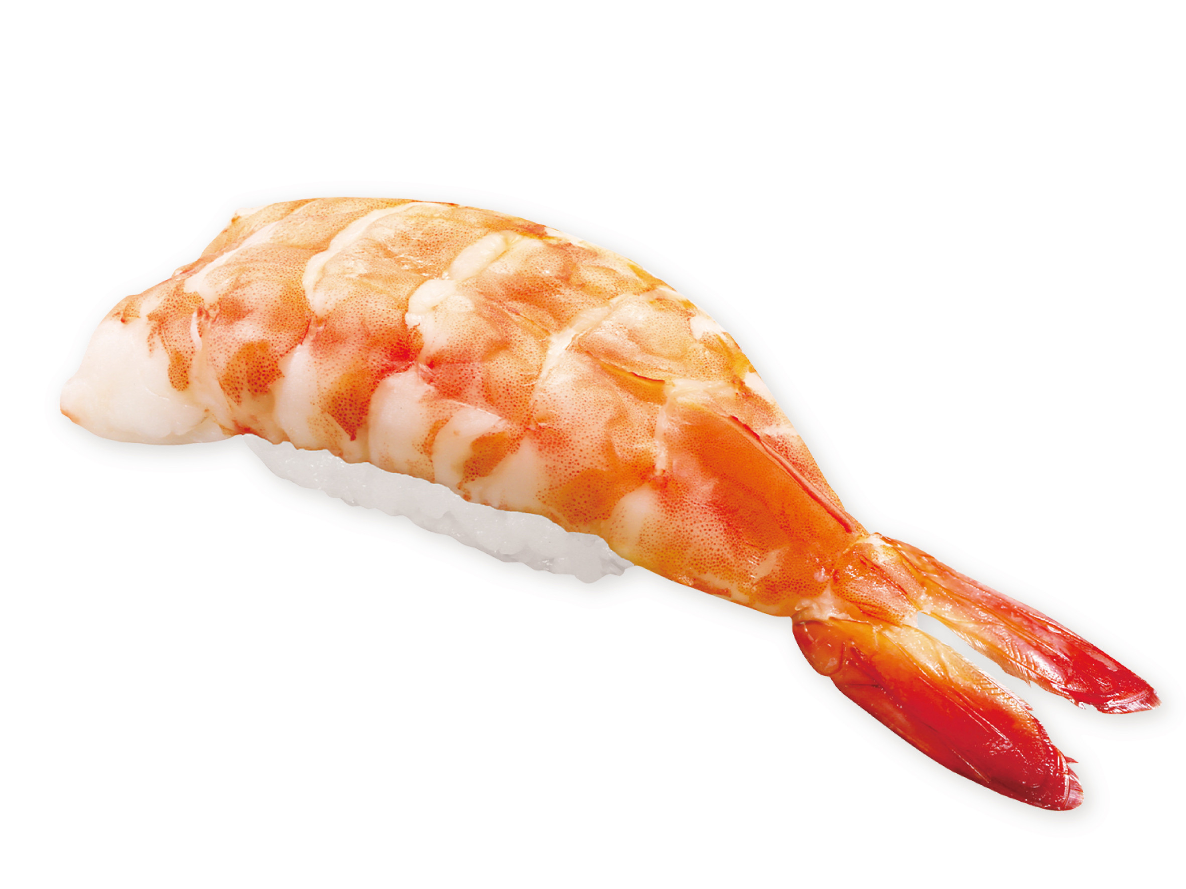 天然大えび（一貫）.jpg