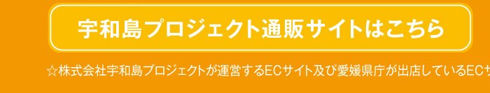 宇和島プロジェクト