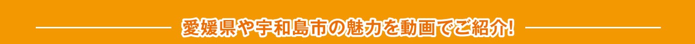 フェア