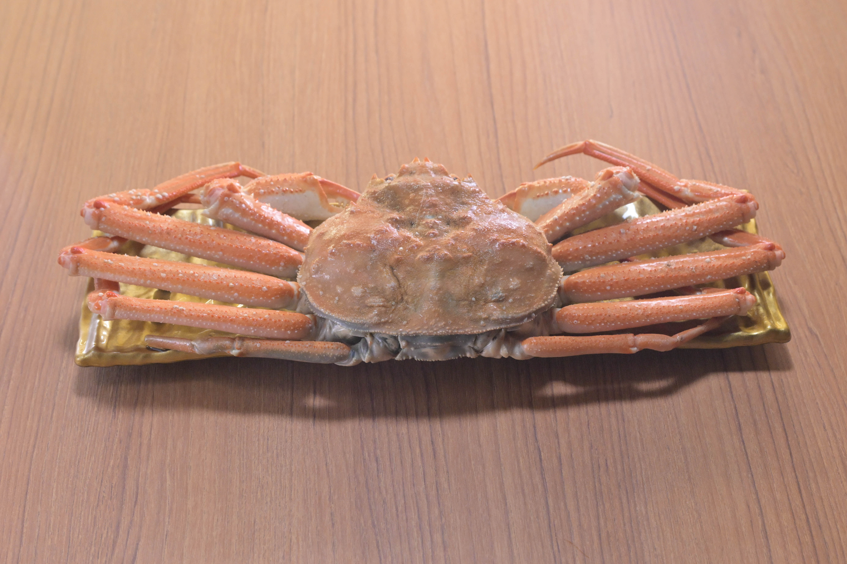 07-2.函館おおずわいがに一杯.png
