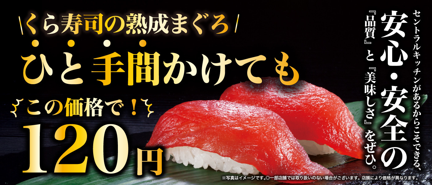 ⭐未使用品⭐KURA くら寿司 オリジナル寿司プレート 11個セット M302 くら寿司 Yahoo!ショッピング店 - Yahoo!ショッピング
