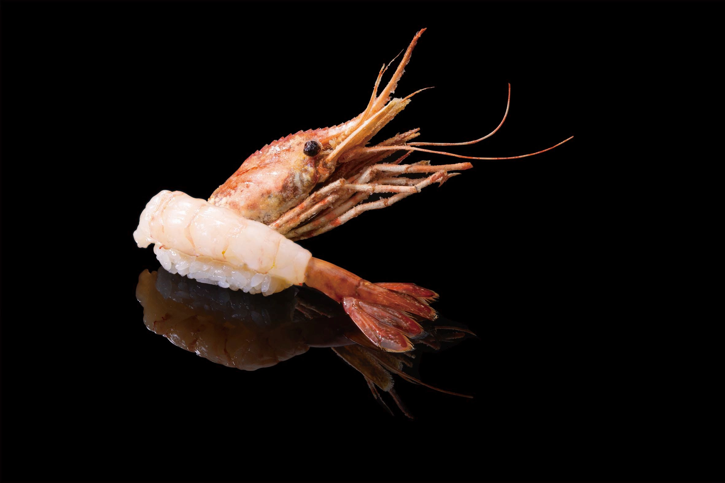 2508_無添蔵中目黒店_フェア_鏡面_【北海道産】増毛ぼたんえび_醤油なし_s のコピー.jpg