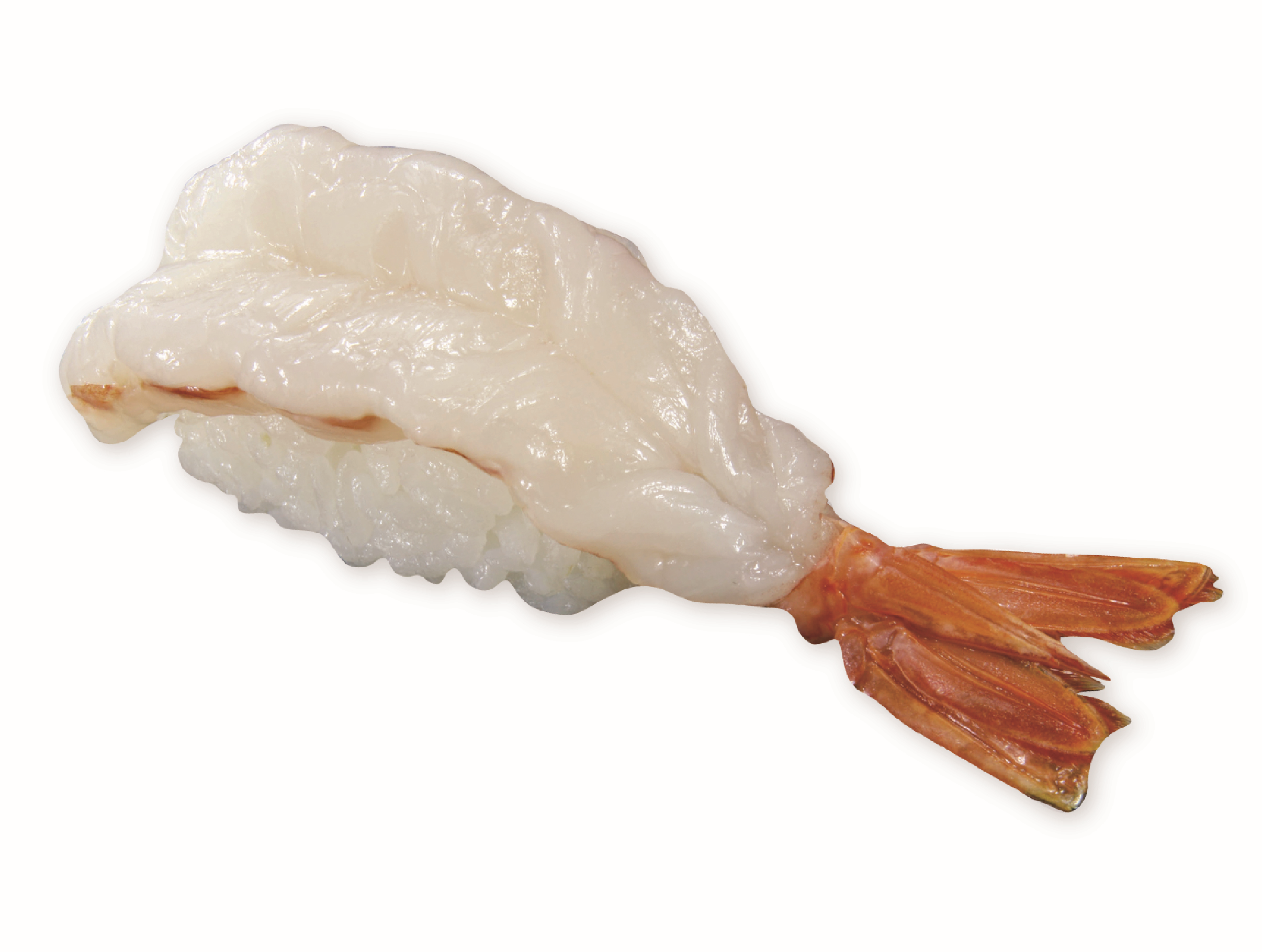 天然 赤えび(一貫).png