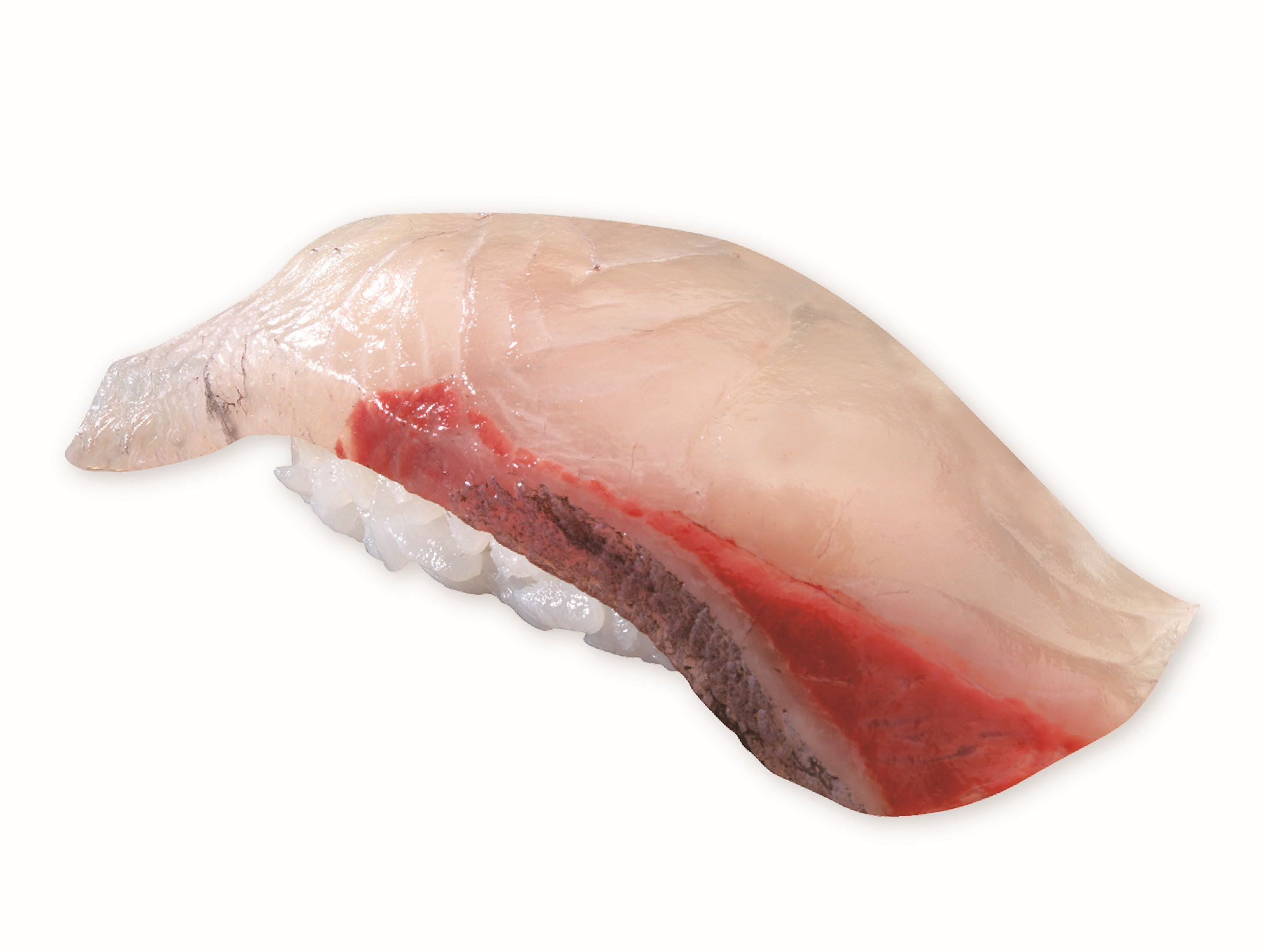 【新幹鮮魚便】鹿児島 薩摩かんぱち(一貫).png