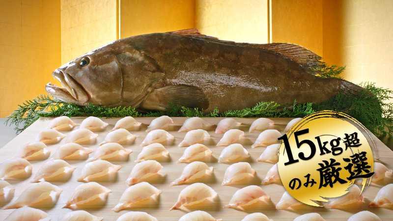 上質な脂と濃厚な旨味、歯ごたえのある引き締まった身が魅力 幻の高級魚・国産『天然くえ』