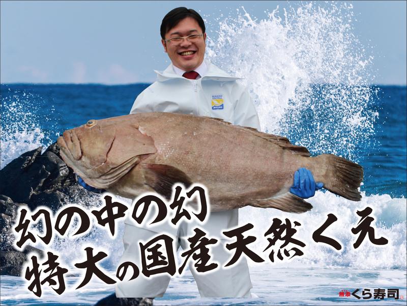 くら寿司で幻の高級魚『国産天然くえ』が衝撃の200円で楽しめる！3/15（金）からくえVS大とろフェア開催