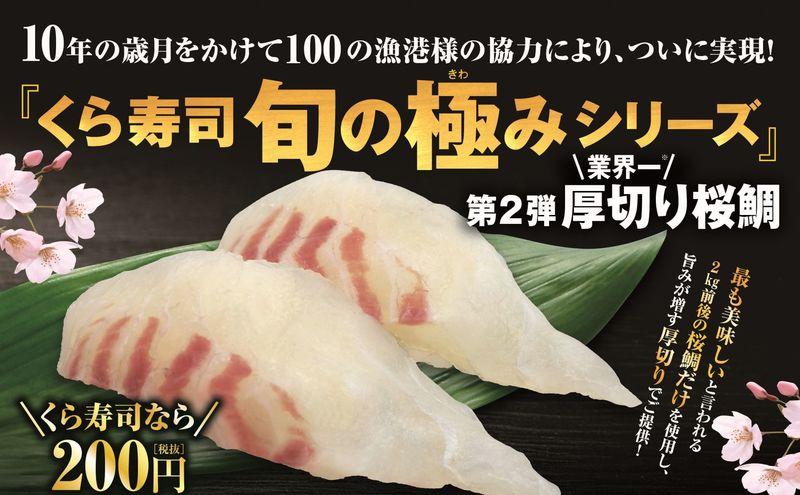 くら寿司 旬の極みシリーズ 第２弾 厚切りすぎる 『桜鯛』