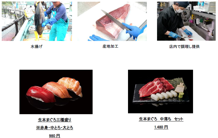 生本まぐろ.png