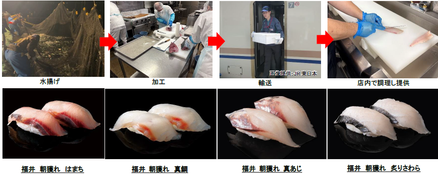福井県→東京.png