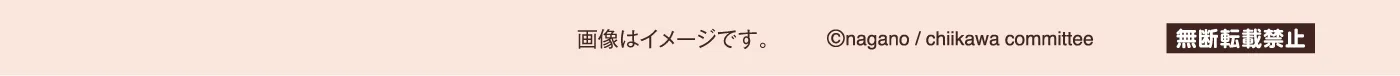 画像はイメージです。 &copy;nagano / chiikawa committee［無断転載禁止］