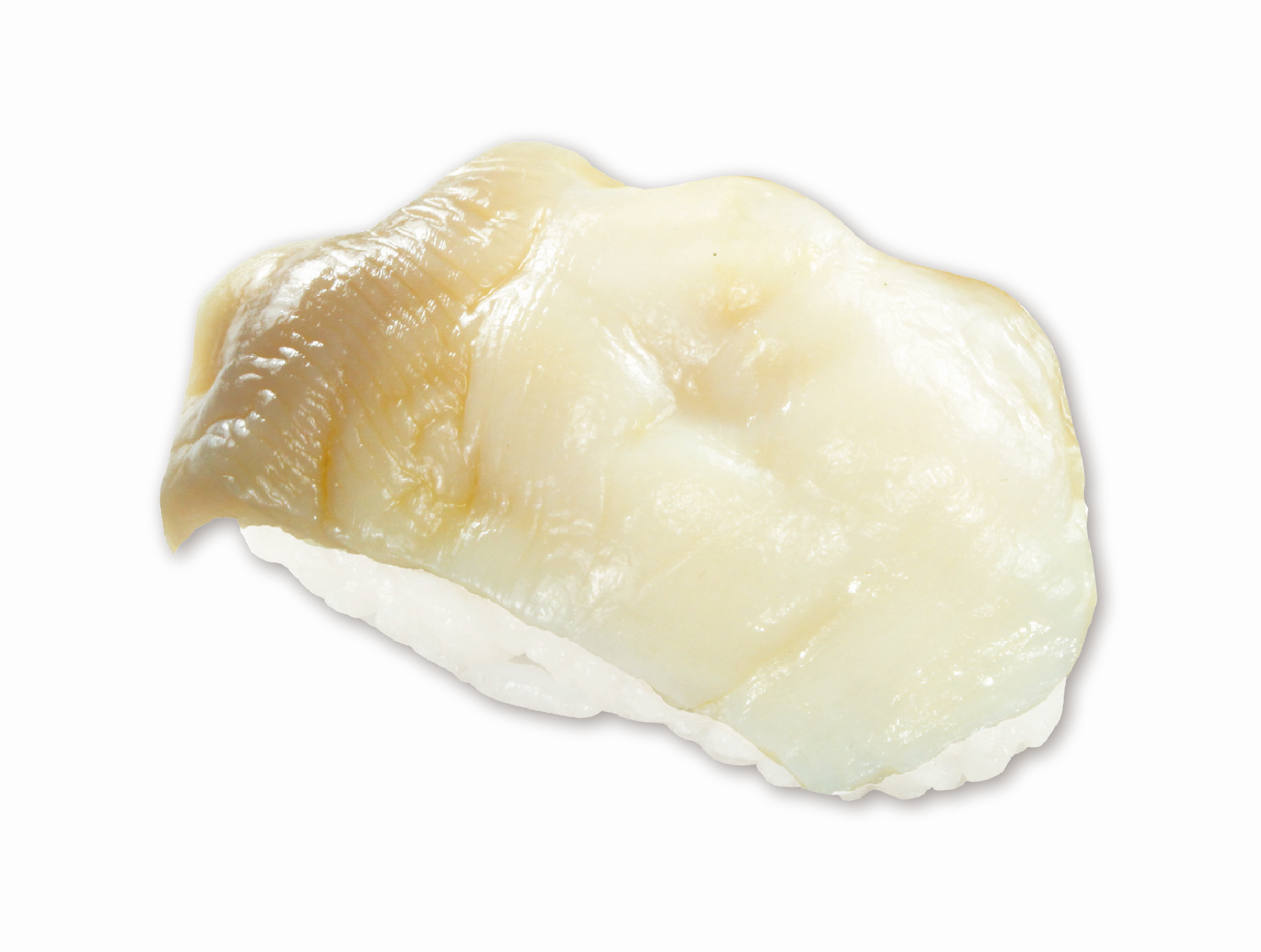 【北海道産】生ほっき貝(一貫).png