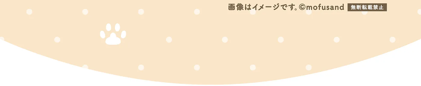 ビッくらポンのゲーム動画がmofusandのアニメーションに！